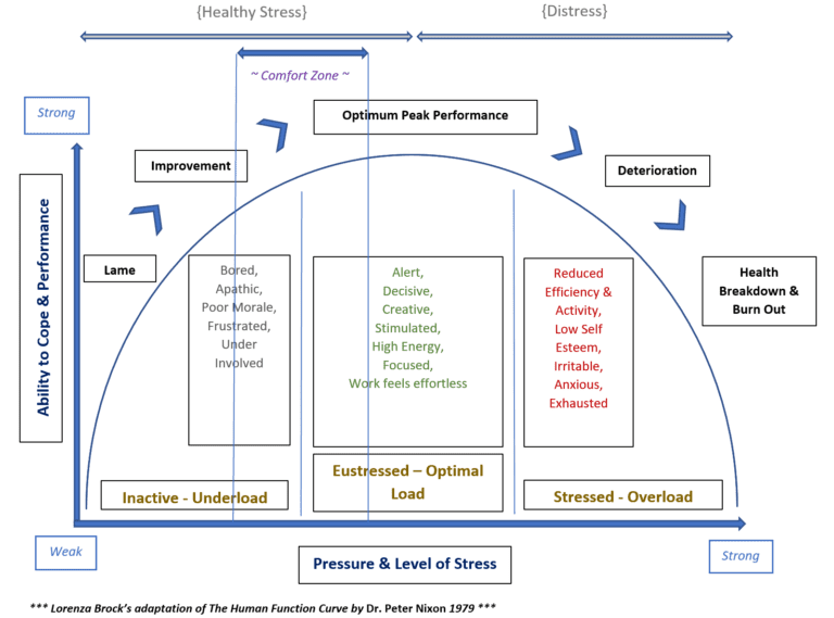 The Human Function Curve: understanding how to de-stress and live ...